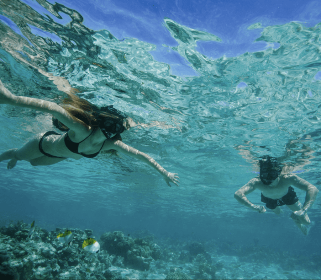 Snorkelers swimming underwater with tropical fish.