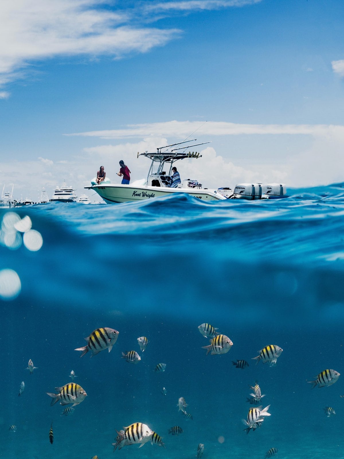 PADI Advanced Freediver